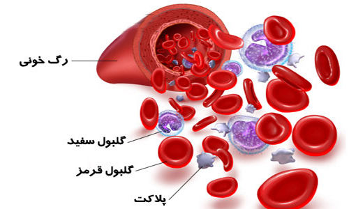 درمان مشکلات پلاکت خون توسط طب سنتی
