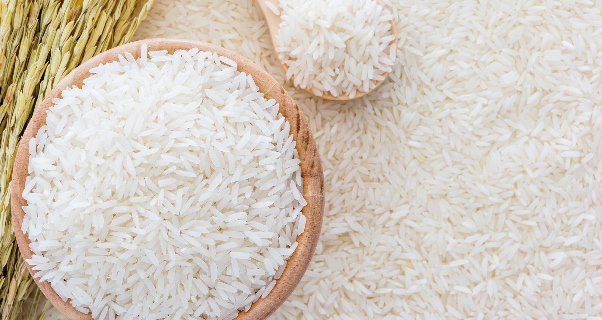 جایگاه برنج از نظر طب سنتی
