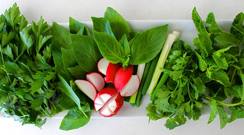 فواید سبزی خوردن در طب سنتی