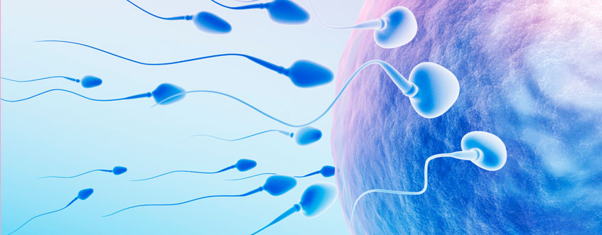 تقویت اسپرم در طب سنتی