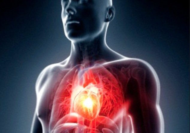 درمان گرفتگی عروق قلب در طب سنتی